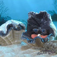 Giant Clam Puppet with textured shell, movable eyes, and hidden pearl inside for imaginative play.