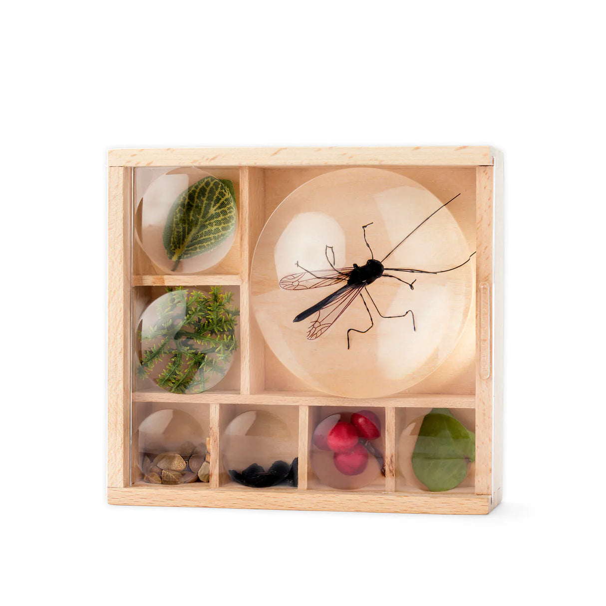 Huckleberry Bug Box