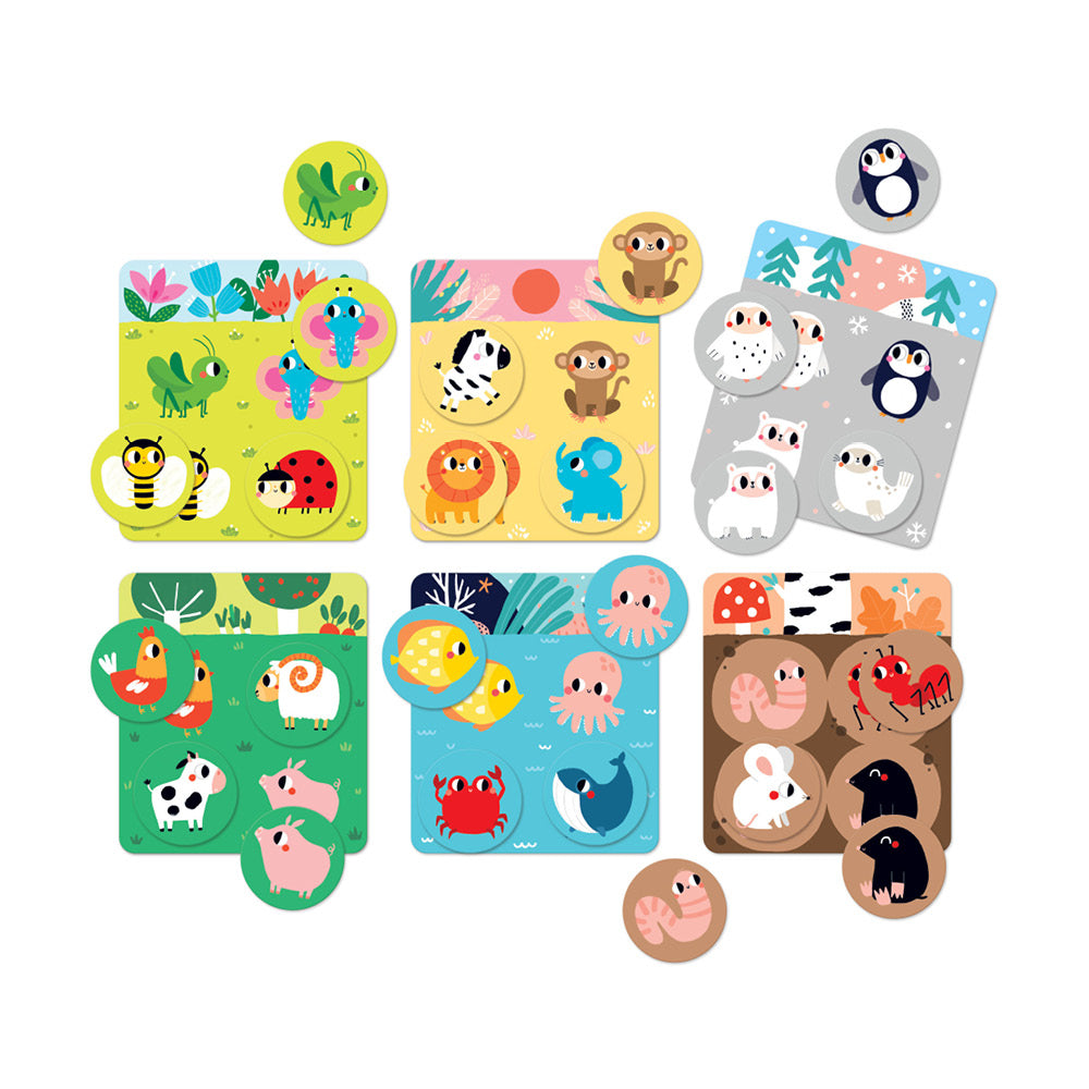 Habitat Bingo game with colorful animal boards and matching tokens to teach kids about animal habitats.