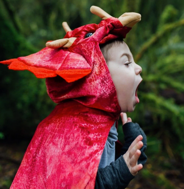 Triceratops Hooded Dinosaur Cape