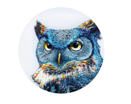 Waboba Wingman Disc UFO LED with detailed owl design printed on 6 inch foldable flying disc for indoor and outdoor play.