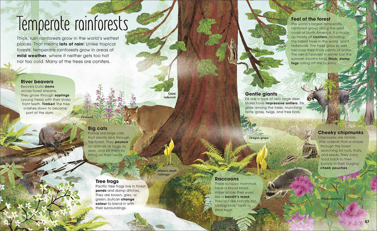 Magic and Mystery of Trees