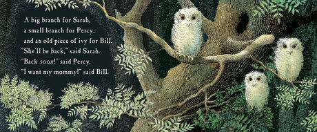Owl Babies board book illustration of three young owls on branches, waiting for their mother’s return.