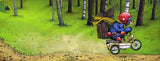 Bruce's Big Move shows Bruce the bear riding a small bike through a forest, wearing a red helmet and cape.