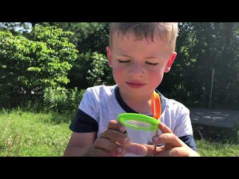 Terra Kids | Exploration Magnifying Glass