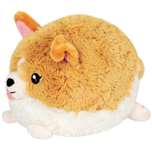 Baby Corgi Mini