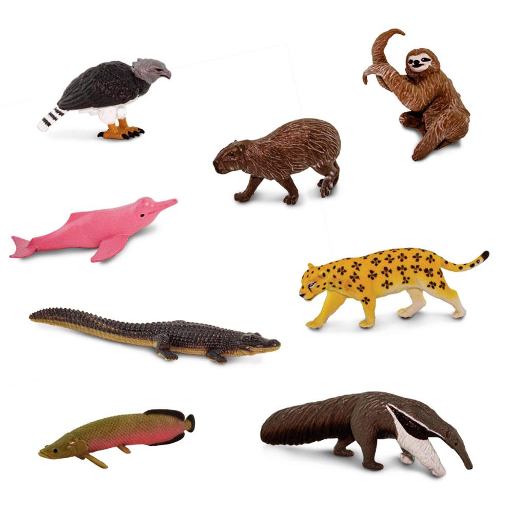 TOOB | South American Animals