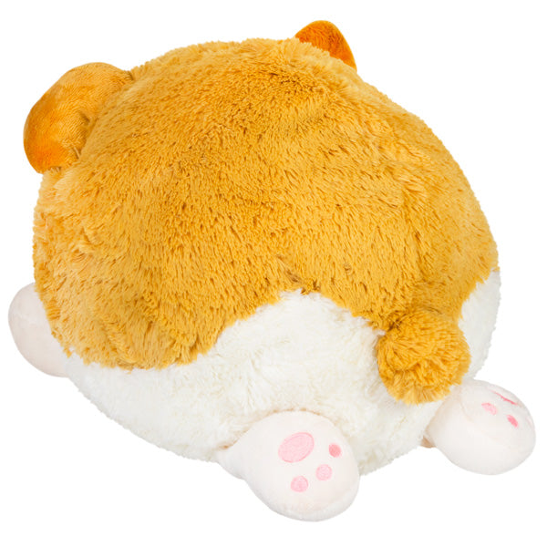 Soft and squishy Baby Corgi plush toy showing its back with round body and cute paws visible.