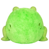 Soft, squishy green Frog plush toy made of polyester fiber, measuring 19 by 12 by 15 inches, perfect for all ages.