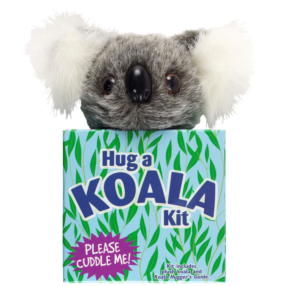 Hug a Koala Kit with a plush koala peeking out of a colorful box inviting you to cuddle and learn about koalas.